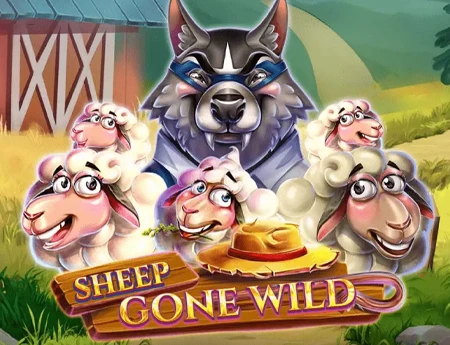 Sheep Gone Wild