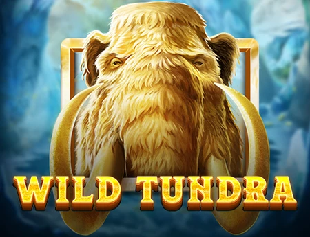 Wild Tundra